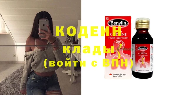 шишки Верхний Тагил